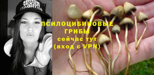 мяу мяу мука Балахна
